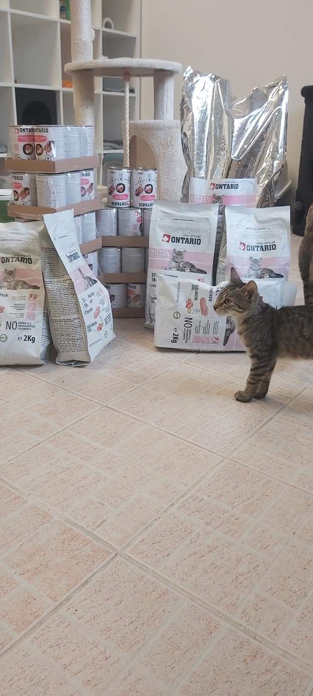 Kočka pro tebe 31.8